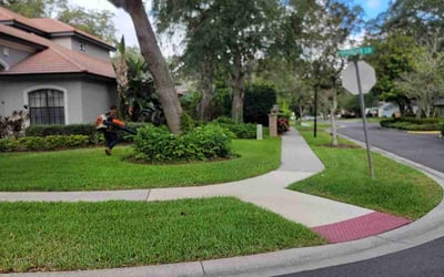 Photo of Kellen C.'s yard after getting lawn care in Tampa, FL