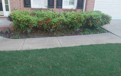 Photo of Phillip P.'s yard after getting lawn care in Elyria, OH
