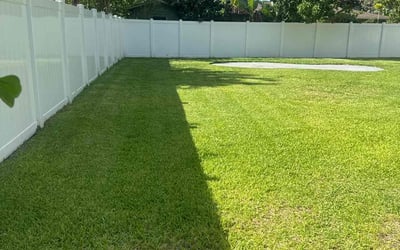 Photo of Randi G.'s yard after getting lawn care in Long Island City, NY