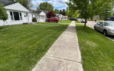 Photo of Giovany C.'s yard after getting lawn care in Boynton Beach, FL