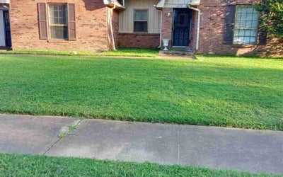 Photo of Rebecca L.'s yard after getting lawn care in Niles, OH