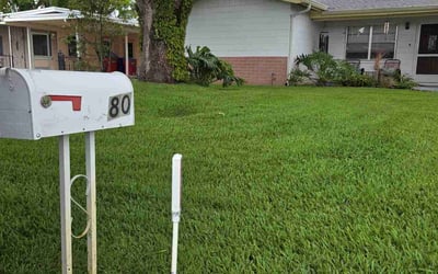 Photo of Edward P.'s yard after getting lawn care in St. Petersburg, FL