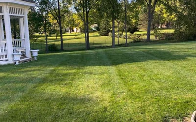 Photo of Natasha J.'s yard after getting lawn care in Mason, MI