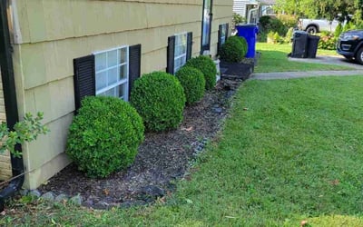 Photo of Cathy S.'s yard after getting lawn care in Severna Park, MD