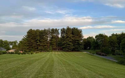 Photo of Jermaine M.'s yard after getting lawn care in Ogden, UT