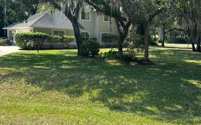 Photo of Jonathan R.'s yard after getting lawn care in Chalmette, LA