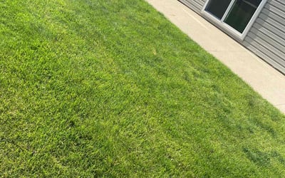 Photo of Alex M.'s yard after getting lawn care in Fargo, ND