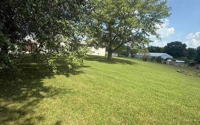 Photo of Kyle L.'s yard after getting lawn care in Richmond, VA