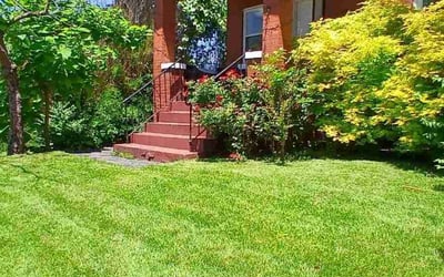 Photo of Demond W.'s yard after getting lawn care in Sullivan, MO