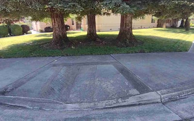 Photo of Marsha C.'s yard after getting lawn care in Turlock, CA