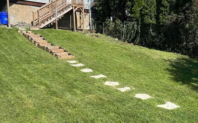 Photo of Stephen B.'s yard after getting lawn care in Nanticoke, PA
