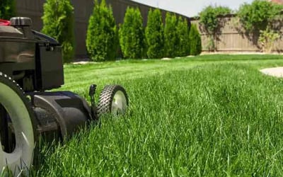 Photo of John D.'s yard after getting lawn care in Winter Haven, FL