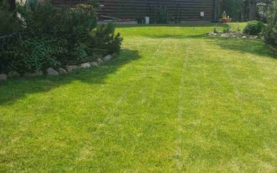 Photo of Allie A.'s yard after getting lawn care in Bloomingdale, IL