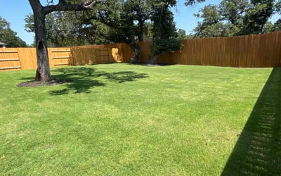 Photo of Courtney C.'s yard after getting lawn care in Bastrop, TX