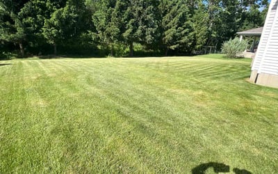Photo of Mercedes B.'s yard after getting lawn care in Watervliet, NY