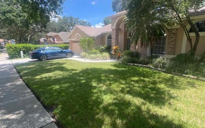 Photo of Rachel R.'s yard after getting lawn care in Brooksville, FL