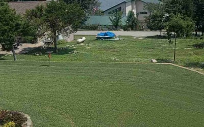 Photo of Phil R.'s yard after getting lawn care in Branson, MO