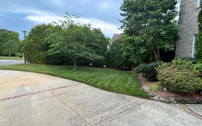 Photo of Jason F.'s yard after getting lawn care in Burlington, NC
