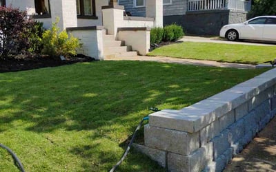 Photo of Kailani M.'s yard after getting lawn care in Atlanta, GA