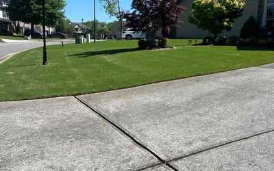 Photo of Dan M.'s yard after getting lawn care in Ringgold, GA