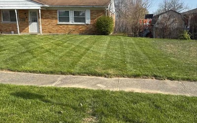 Photo of Brennan R.'s yard after getting lawn care in Cincinnati, OH