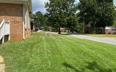 Photo of Buba J.'s yard after getting lawn care in Inglewood, CA
