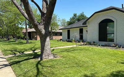 Photo of Michelle N.'s yard after getting tree care in Coppell, TX