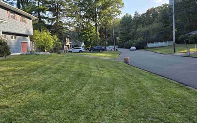 Photo of Paul D.'s yard after getting lawn care in New City, NY
