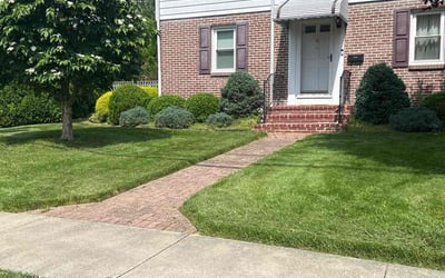 Photo of Mohamed D.'s yard after getting lawn care in Wilmington, DE