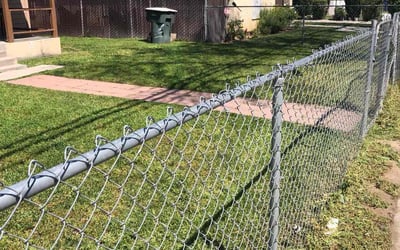 Photo of Morgan B.'s yard after getting lawn care in Selma, CA