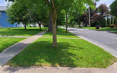Photo of Jonathan S.'s yard after getting lawn care in Racine, WI