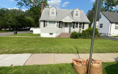 Photo of Katharine B.'s yard after getting lawn care in San Bernardino, CA
