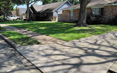 Photo of Joi F.'s yard after getting lawn care in Port Arthur, TX