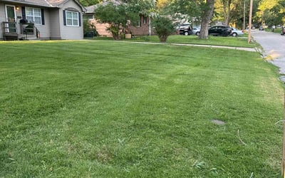 Photo of Marina M.'s yard after getting lawn care in Clovis, CA