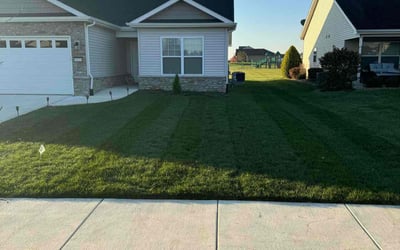 Photo of Susan S.'s yard after getting lawn care in Cedar Lake, IN