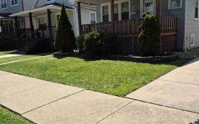 Photo of Lucy M.'s yard after getting lawn care in Brockton, MA