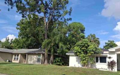 Photo of Dishonda G.'s yard after getting lawn care in Winston-Salem, NC