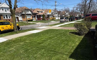Photo of Chris A.'s yard after getting lawn care in Orchard Park, NY