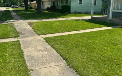 Photo of ReNecia T.'s yard after getting lawn care in Belvidere, IL