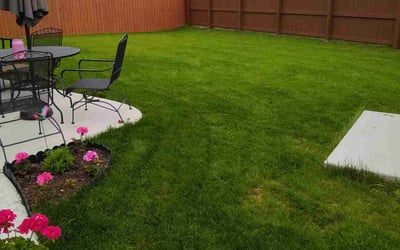 Photo of Ray P.'s yard after getting lawn care in North Tonawanda, NY