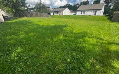 Photo of Efrain T.'s yard after getting lawn care in Hopewell, VA
