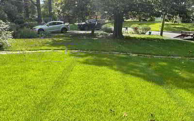 Photo of Macy S.'s yard after getting lawn care in Easley, SC