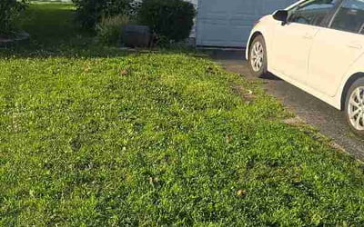 Photo of Brock B.'s yard after getting lawn care in Hoover, AL