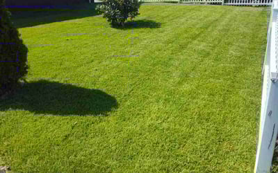 Photo of Cochise K.'s yard after getting lawn care in West Haven, CT