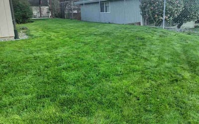 Photo of Benjamin Y.'s yard after getting lawn care in Kent, WA