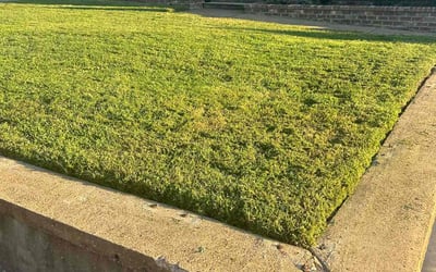 Photo of Zelle W.'s yard after getting lawn care in Temple, TX