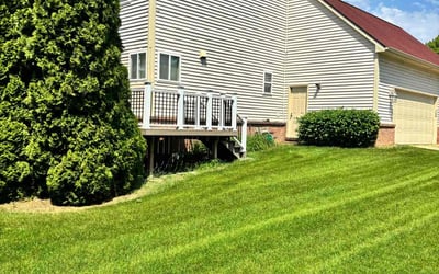 Photo of Maria B.'s yard after getting lawn care in Orange City, FL