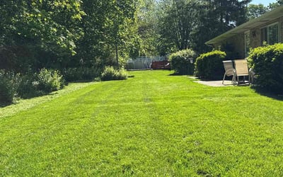 Photo of Sylvester M.'s yard after getting lawn care in Absecon, NJ