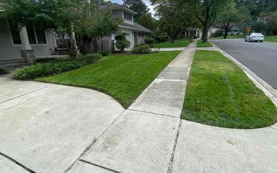 Photo of Jason H.'s yard after getting lawn care in Bethesda, MD