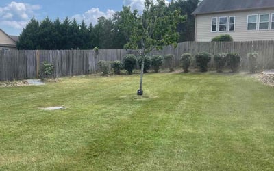 Photo of Bethany H.'s yard after getting lawn care in Slippery Rock, PA
